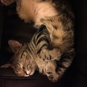 Meet your Posher, Roberta